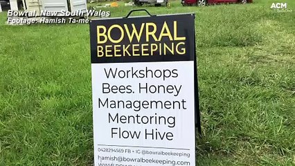 A TOUR OF BOWRAL BEEKEEPING AFTER THE FLOODS - THURSDAY, MARCH 10, 2022 - SOUTHERN HIGHLAND NEWS