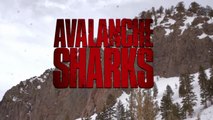 Avalanche Sharks - VO