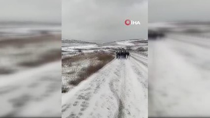 Arnavutköy'de servis araçları yolda kaldı, vatandaşlar yollara düştü