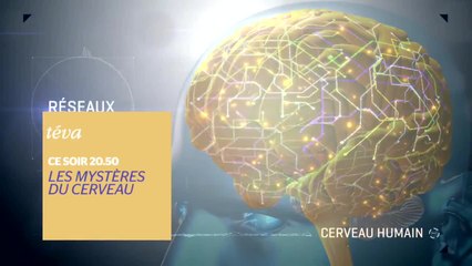 Les Dossiers de Téva - Les Mystères du cerveau - 23/05/17