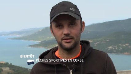 Pêches sportives en Corses