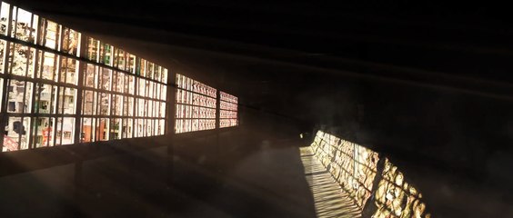 The Calm Beyond Film