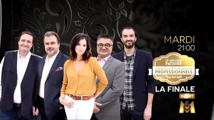 Le Meilleur pâtissier - Les Professionnels - La Finale - 23/05/17