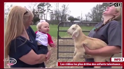 Le zapping du 18/05 : Dialogue hilarant entre un bébé et un chevreau