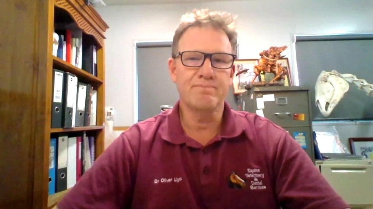 Thousands of livestock killed or injured during floods