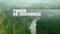 Sri Lanka, l'île émeraude - France 5 - 23 06 16