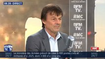 Harcèlement sexuel : Nicolas Hulot dément sur BFMTV