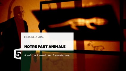 Notre part animale - Le poisson en nous France 5 - 22 06 16