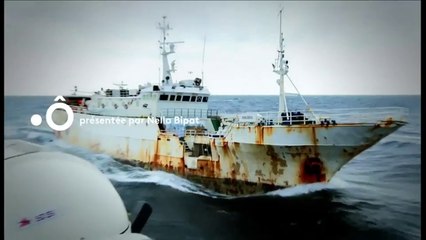 Investigatiôns - Les guerriers de l'océan - france ô - 28 02 18