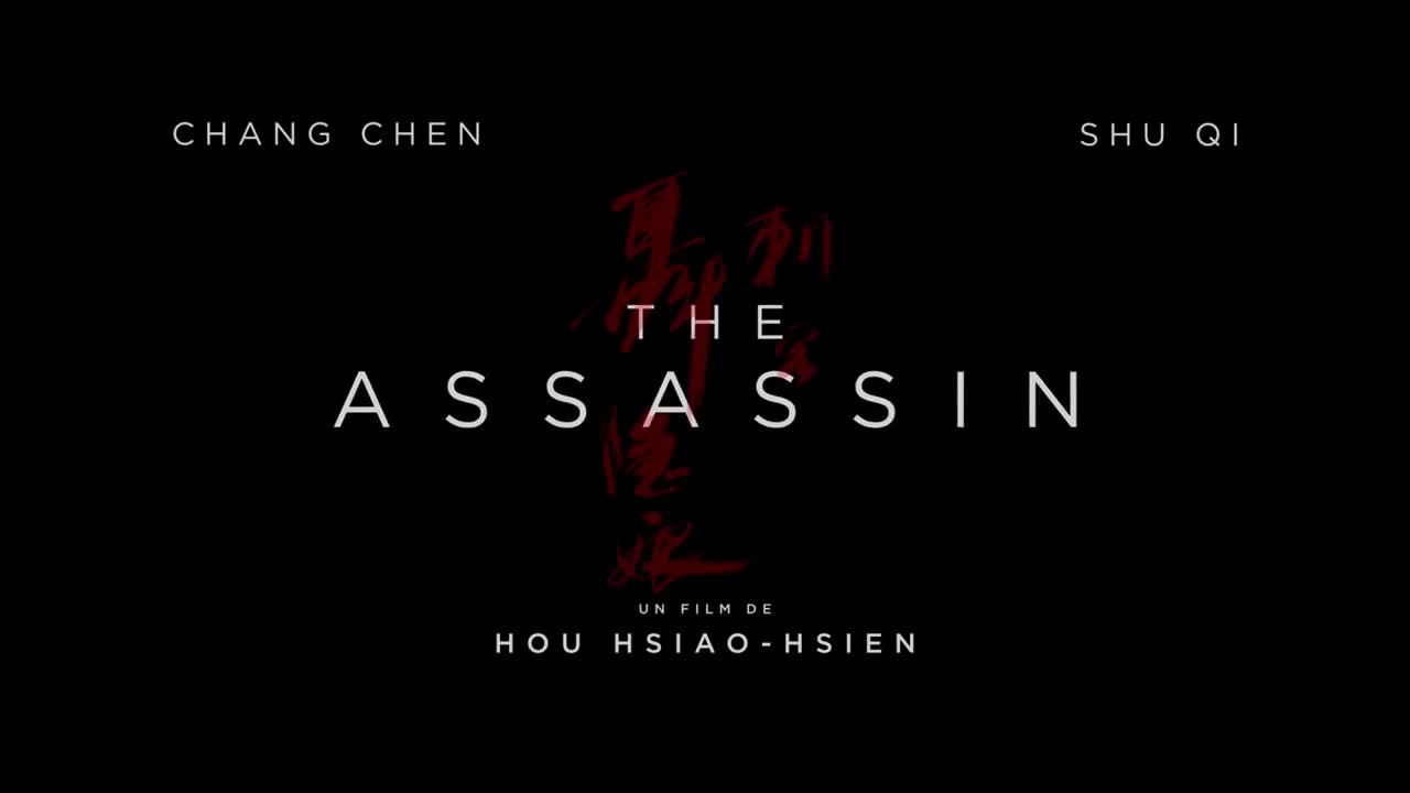 The Assassin - VOST
