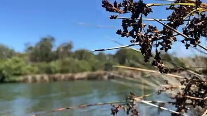 Environmental concerns persist over mine transformation