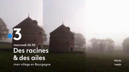 Des racines et des ailes - mon village en Bourgogne - 21 02 18