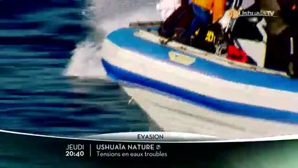 Ushuaïa Nature - Tensions en eaux troubles - 11/05/17