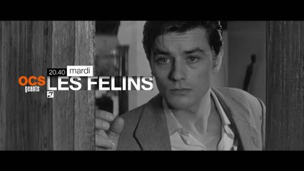 Les Félins - 28/06/16