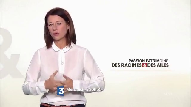 Des racines et des ailes - Des monts Jura au Val de Saône - 17 05 17