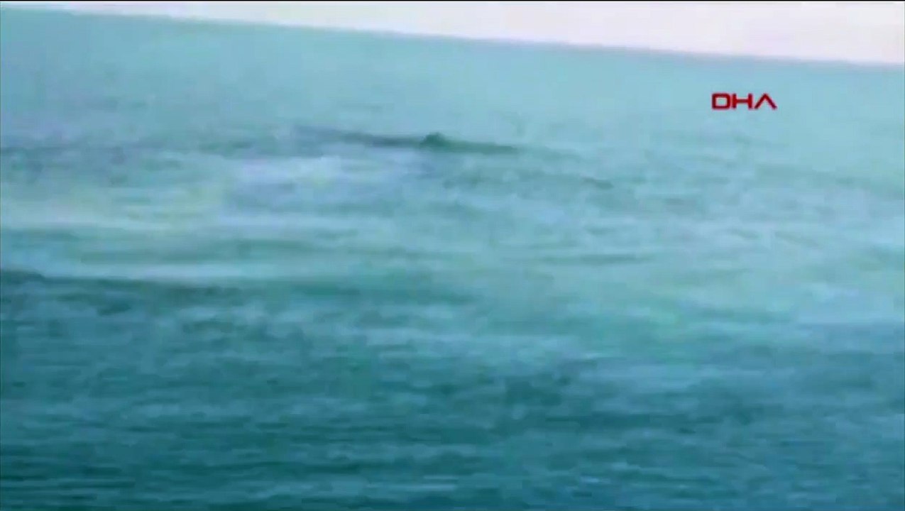 Van Gölü Canavarı görüldü