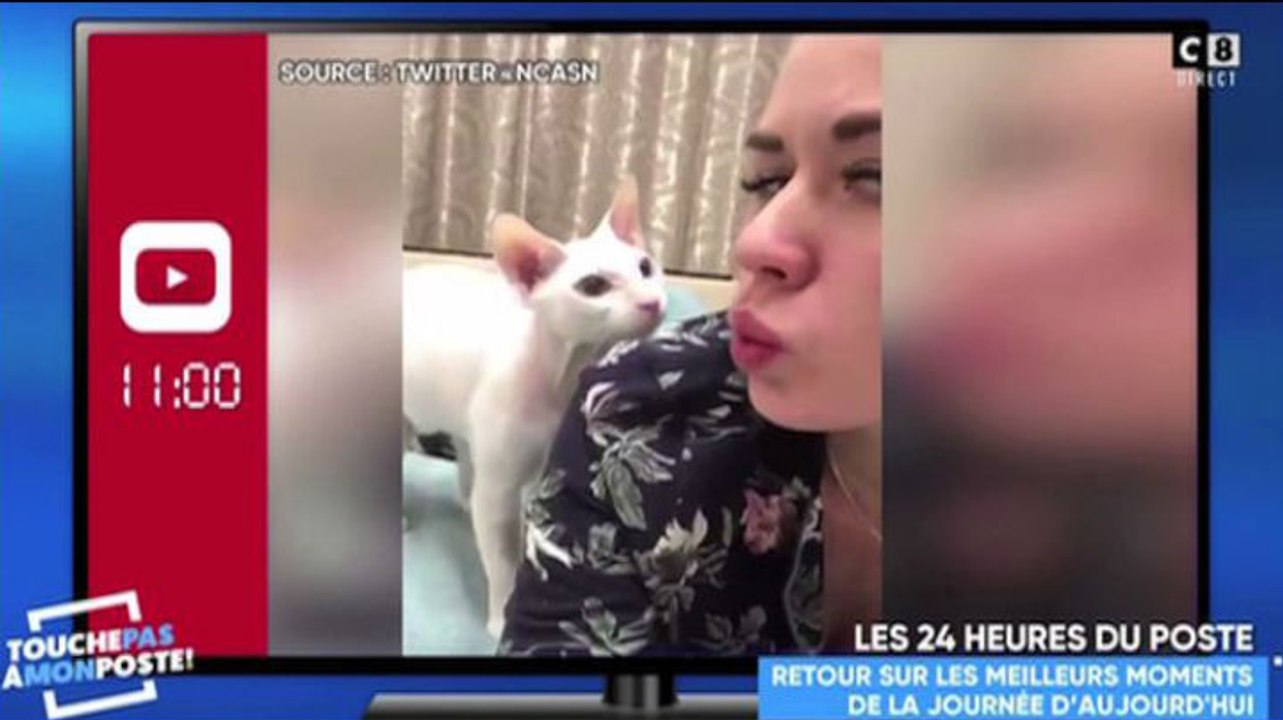 Zapping du 22/02 : Ce chat n’aime pas DU TOUT les bisous !