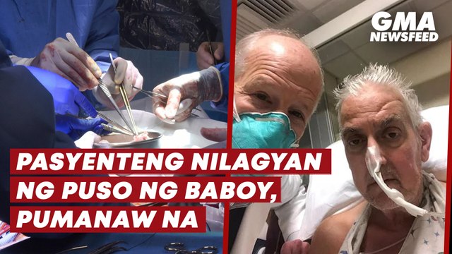 Pasyenteng nilagyan ng puso ng baboy, pumanaw na | GMA News Feed
