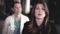 Grey's Anatomy - Devine qui vient dîner - 08 06 16