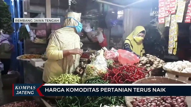 Harga Komoditas Pertanian Terus Naik