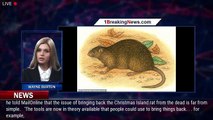 Forget woolly mammoths! Scientists reveal plans to bring back the extinct Christmas Island RAT - 1BR