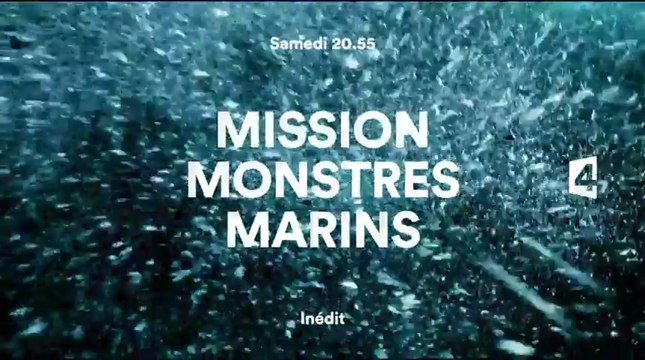 Mission monstres marins - 29/04/17