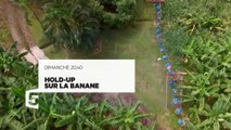 Hold up sur la banane - 29/05/16