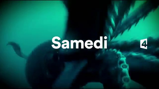 Mission monstres marins - Plongée avec le grand requin blanc - 29 04 17