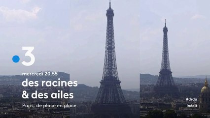 Des racines et des ailes - paris de place en place - 31 01 18