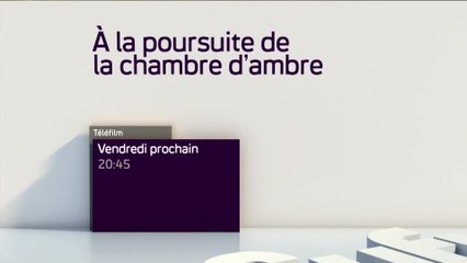 A la poursuite de la chambre d'ambre - 29/05/16