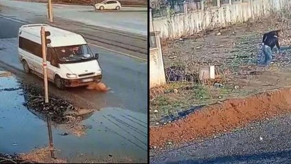 Minibüsün altında kalan köpeğe akılalmaz muamele! Barınak çalışanı açığa alındı