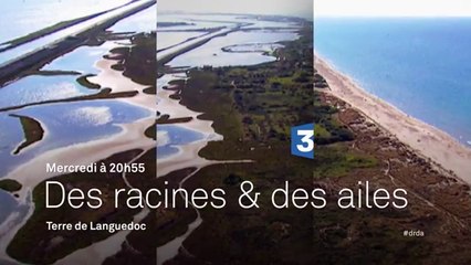 Des racines et des ailes - Terre de Languedoc - 19 05 16