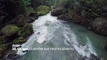 La Rivière aux truites géantes