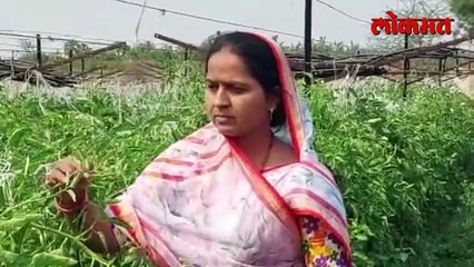 एक गृहिणी, एक सरपंच ते एक कर्तृत्वान आदर्श शेतकरी