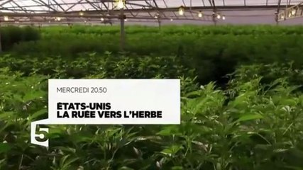 Le Monde en face - États-Unis, la ruée vers l’herbe - France 5 - 24 01 18