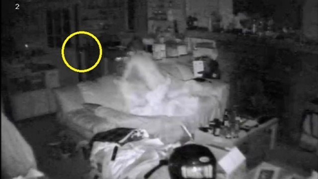 Réveillé en pleine nuit par un ours qui a pénétré chez lui