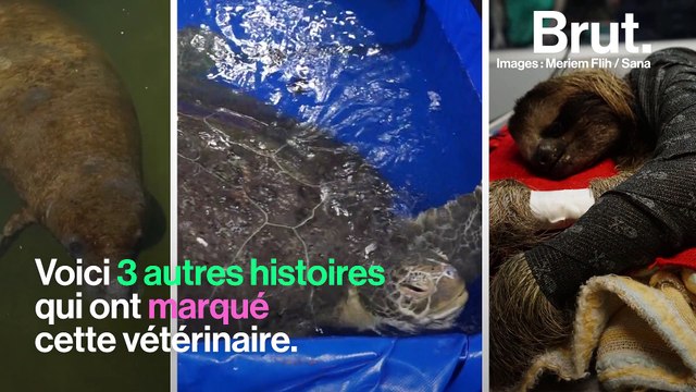 4 sauvetages d'animaux en détresse qui ont marqué la vétérinaire Meriem Flih