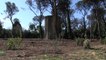 Nuovo verde per 15mila mq e 170 alberi per Villa Ada a Roma