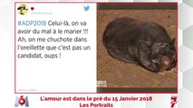 ADP : revue de tweets du 15/01/18