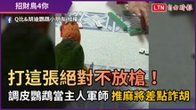 打這張絕對不放槍！ 調皮鸚鵡當主人軍師 推麻將差點詐胡