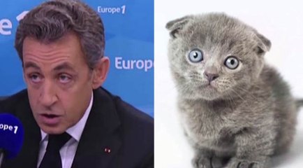 Le zapping du 20/02 : Dur, dur, d'être président !