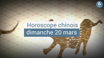 FEMME ACTUELLE - Horoscope chinois du jour du dimanche 20 mars, le Singe d'Eau