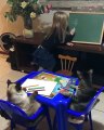 How to teach your cats -Cat coaching class #shorts #fyp #tiktok #funny #cat