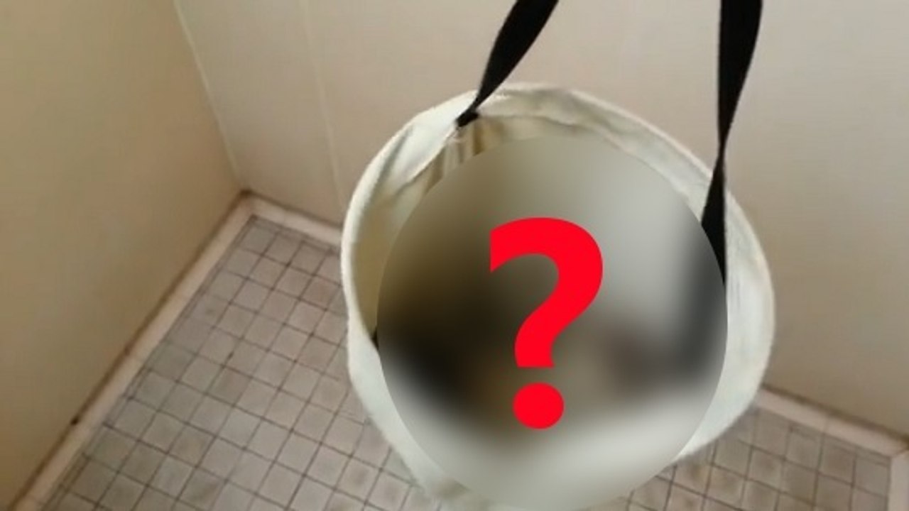 Ce campeur fait une rencontre insolite sous la douche !