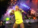 Hulk Hogan turnertron