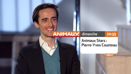 Animaux Stars - Pierre-Yves Cousteau - 22/05/16