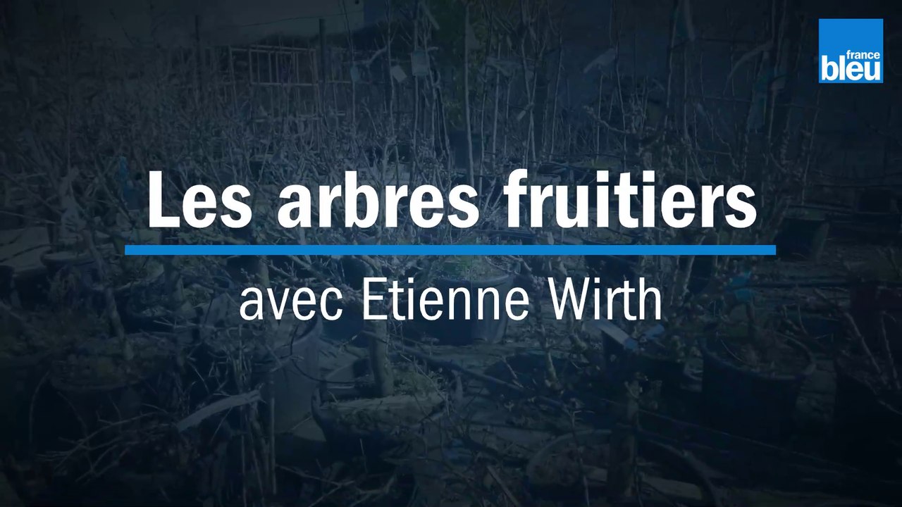 Les arbres fruitiers - avec Etienne Wirth