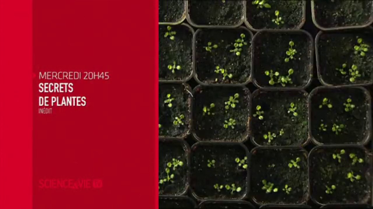 Secrets de plantes - 27/04/16