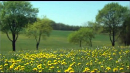 Volkswagen Golf SW 2007