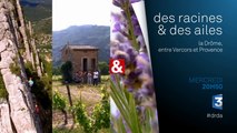 Des racine et des ailes - La Drôme, entre Vercors et Provence - 04 05 16